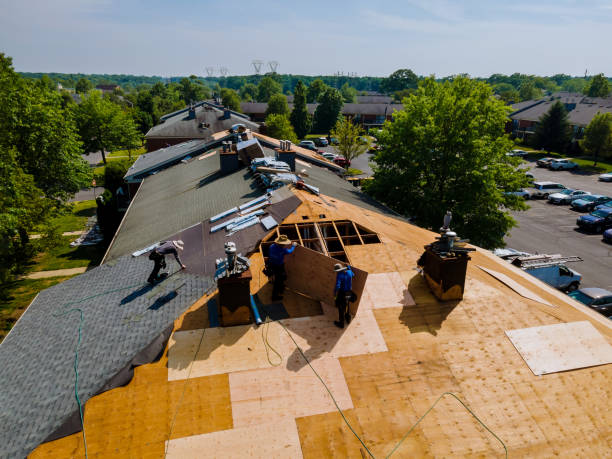 Trusted Flat Roof Repair service in Tyaskin, MD - Brentwood Metal Roofing
